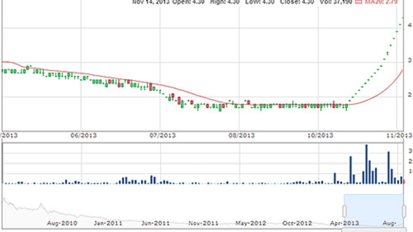 VNH, cổ phiếu “điên” nhất 2013?