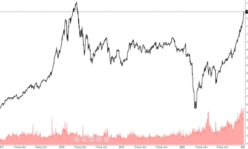 Ngày nào cũng lên chục điểm, ngưỡng 1.200 ngay trước mắt