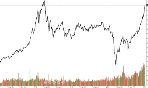 Chỉ tăng không thể giảm, nhà đầu tư nhàn nhã 