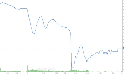 Kết quả kinh doanh tích cực, nhà đầu tư vẫn xả hàng mạnh