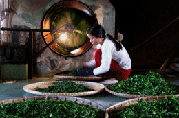 Chị Hường, vợ anh Thắng đang chế biến chè đặc sản.