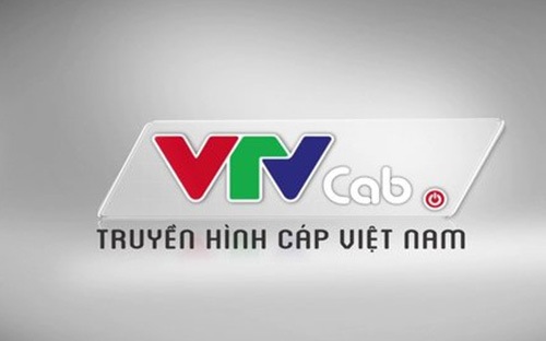 <span style="font-family: &quot;Times New Roman&quot;; font-size: 14.6667px;">Theo VTVcab, nhiều trang thông tin và mạng xã hội như www.24h.com.vn; www.bongda433.com; www.thethao247.vn; www.bongdanet.vn; www.kenh14.vn... đã có hành vi vi phạm bản quyền phát sóng.</span>
