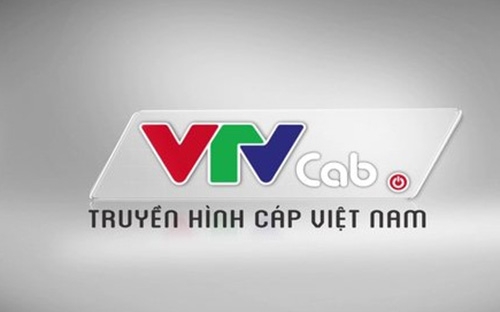 VTV có trách nhiệm chuyển tiền thu từ cổ phần hóa và bán bớt phần vốn Nhà nước về quỹ hỗ trợ sắp xếp và phát triển doanh nghiệp.