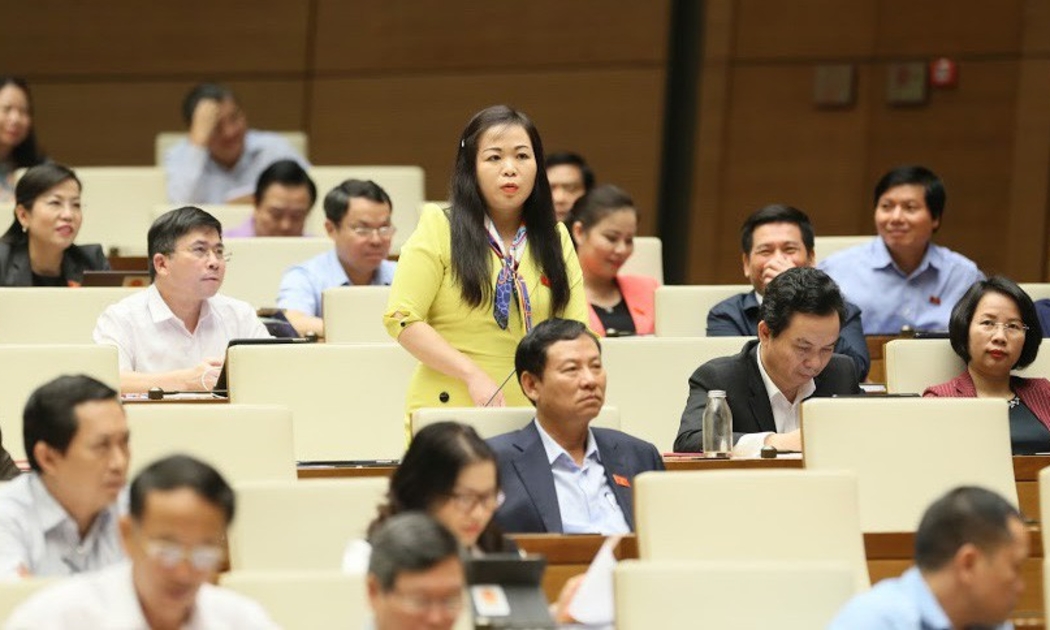 Đại biểu Vũ Thị Lưu Mai phát biểu tại hội trường.