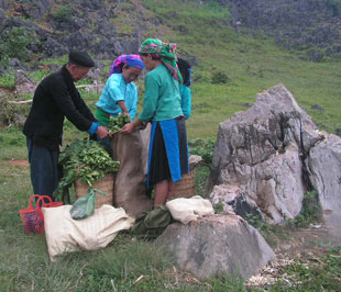 Hoạt động ở vùng khó khăn thương nhân sẽ được ưu đãi về tín dụng - Ảnh: Thu Hằng.