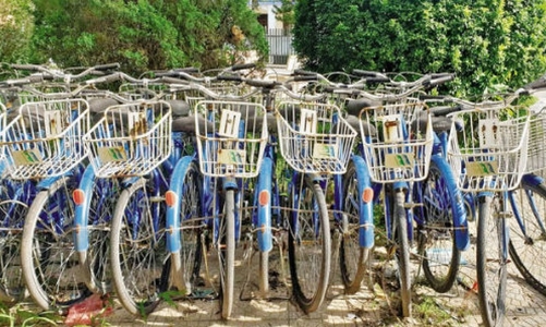 Ngoài xe buýt, đường sắt đô thị, Hà Nội sắp có cả xe đạp công cộng