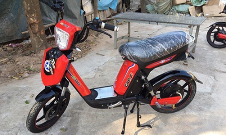 Một mẫu xe điện nhái sản phẩm của công ty Pega - Ảnh do Pega cung cấp.