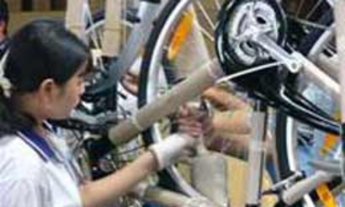 Xe đạp Việt Nam có thể 