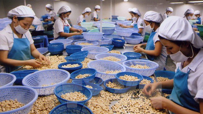 Hạt điều của Việt Nam được xuất khẩu tới 27 quốc gia và vùng lãnh thổ.