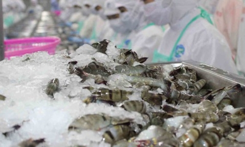 Bất chấp đại dịch Covid, xuất khẩu tôm vẫn 