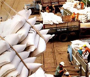 Thương vụ Việt Nam tại Viễn Đông - Liên bang Nga khuyến cáo các nhà xuất khẩu gạo Việt Nam cần quan tâm hơn nữa về chất lượng hàng khi xuất sang thị trường này - Ảnh: VNA.