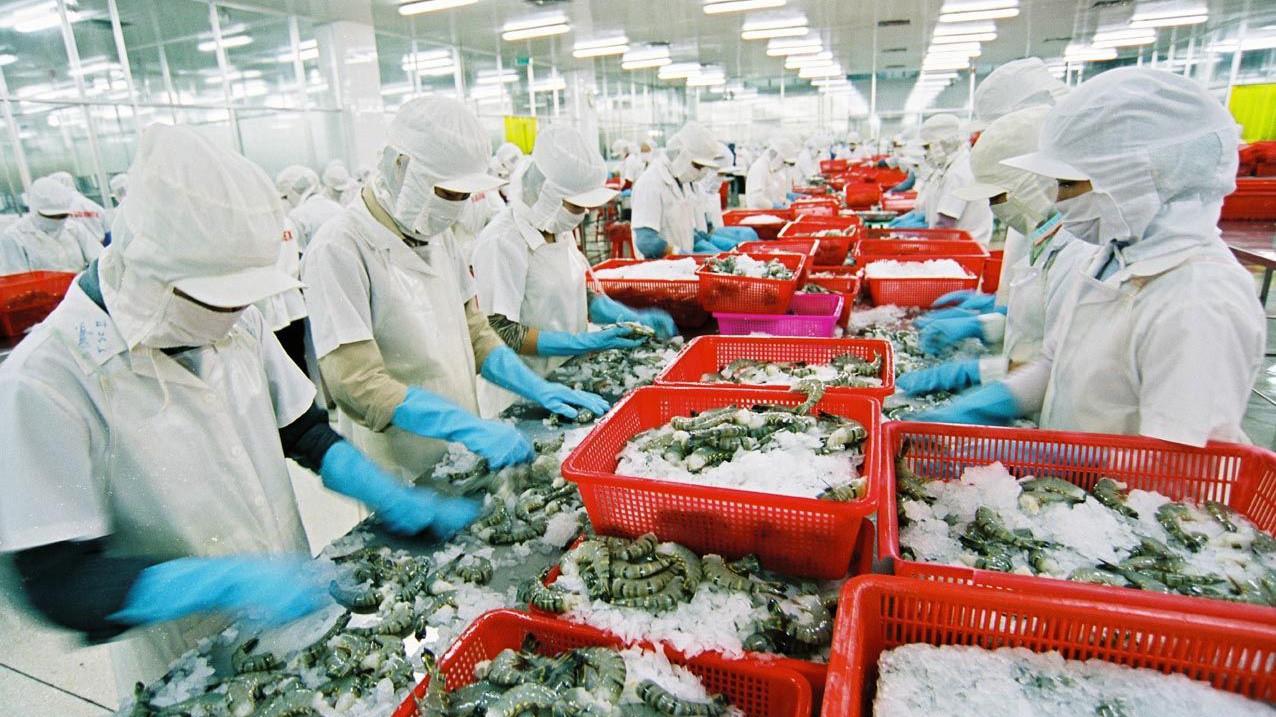 Xuất khẩu cá tra đạt trung bình 200 triệu USD/tháng, so với mọi năm tăng khoảng 50 triệu USD/tháng, được vậy là nhờ giá xuất khẩu tăng lên và từ nhu cầu của thị trường.