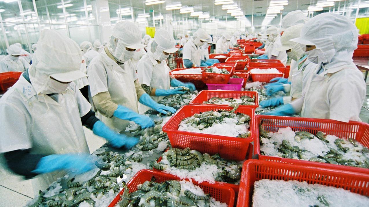 Các thị trường chính xuất khẩu thủy sản của Việt Nam là Nhật Bản, Hoa Kỳ, Trung Quốc và Hàn Quốc.