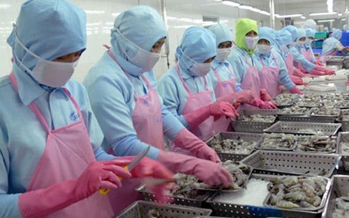 Trong quý 3/2013, xuất khẩu thủy sản đạt trên 1,9 tỷ USD, tăng 17,4% so với cùng kỳ năm ngoái.