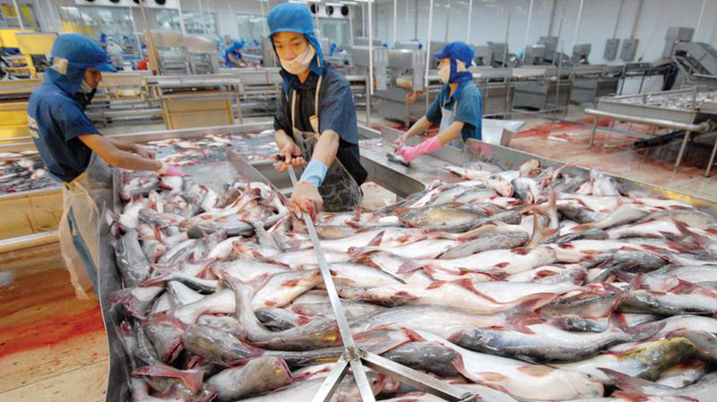 Trung Quốc siết chặt nhập khẩu thuỷ sản đông lạnh vì lo covid-19 bùng phát 