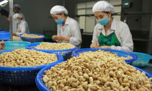 Xuất khẩu nông sản đạt 37,4 tỷ USD: Lâm sản và lúa gạo 