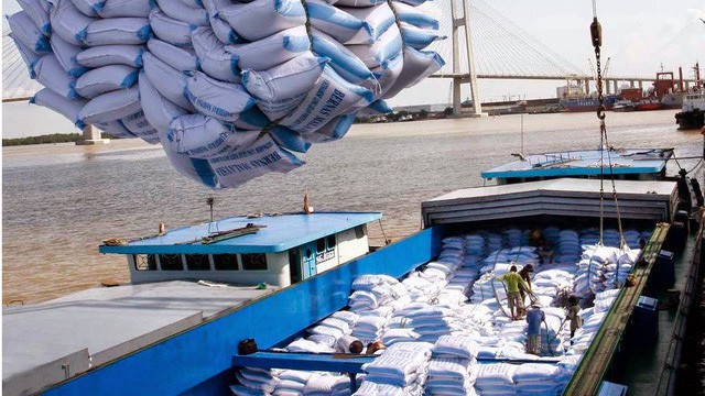 Cổ phiếu ngành gạo vô cảm với sức tăng xuất khẩu.