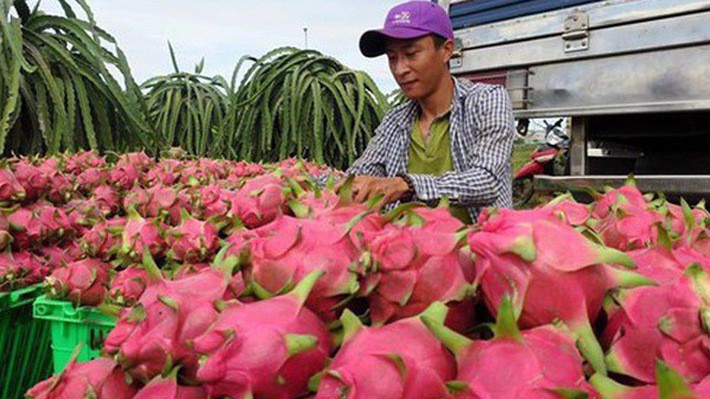 Chính phủ Trung Quốc đã và đang tăng cường các biện pháp giám sát hàng hoá nhập khẩu 