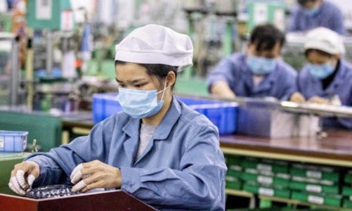 Hai doanh nghiệp bị phạt vì không minh bạch phí xuất khẩu lao động