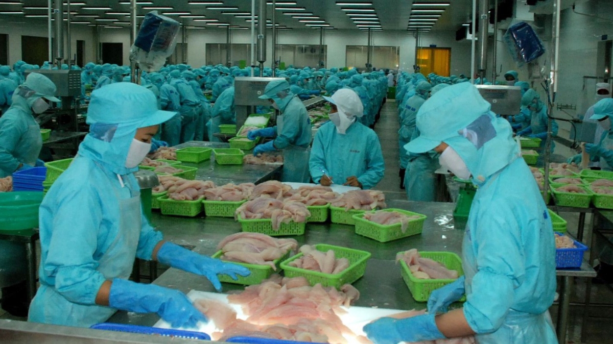 Thủy sản cũng là lĩnh vực duy trì được đà tăng trưởng với giá trị xuất khẩu.