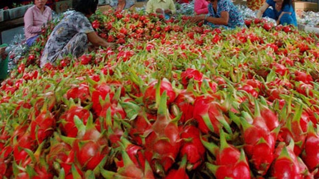 Trung Quốc vẫn là thị trường rất lớn cho rau quả Việt Nam mở rộng khối lượng và giá trị xuất khẩu.