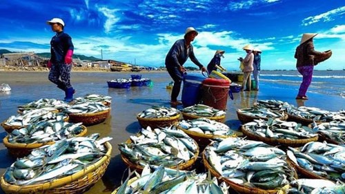 Xuất khẩu thuỷ sản có nguy cơ lỗi hẹn mốc 10 tỷ USD năm 2018. 