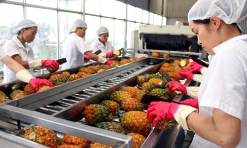 13 doanh nghiệp nhập khẩu trái cây từ UAE có dấu hiệu lừa đảo