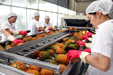 Cảnh báo doanh nghiệp Việt Nam xuất khẩu trái cây sang UAE.