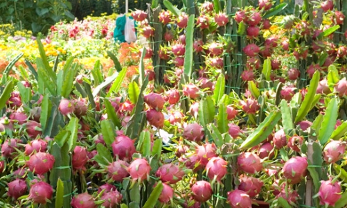 Năm 2020, Việt Nam sẽ đạt kim ngạch xuất khẩu 215 tỷ USD