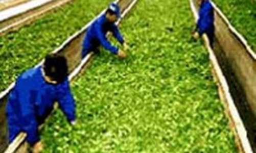 Thêm cơ hội xuất khẩu lao động sang Hàn Quốc