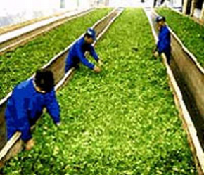 Chăn nuôi, trồng trọt, xây dựng, chế biến thủy sản... là những ngành được hạ điểm "chuẩn"