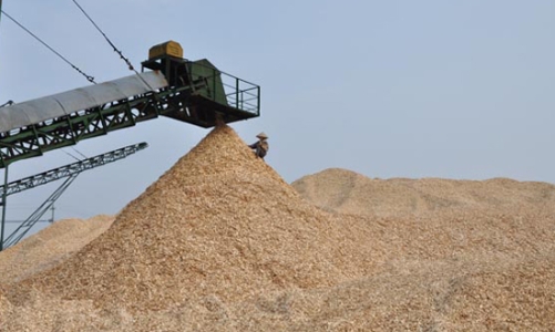 Việt Nam “vô địch” xuất khẩu dăm gỗ: Mừng hay lo?