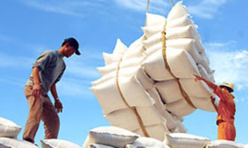 Xuất khẩu gạo: “Doanh nghiệp phải thay đổi tư duy”
