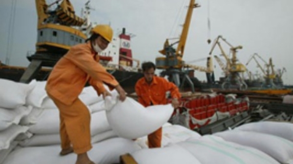 Giá gạo xuất khẩu của Việt Nam bắt đầu giảm