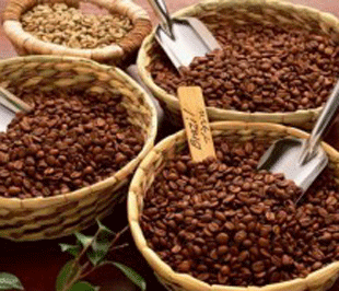 Cà phê là một trong những mặt hàng xuất khẩu chủ đạo của Việt Nam sang Ấn Độ.