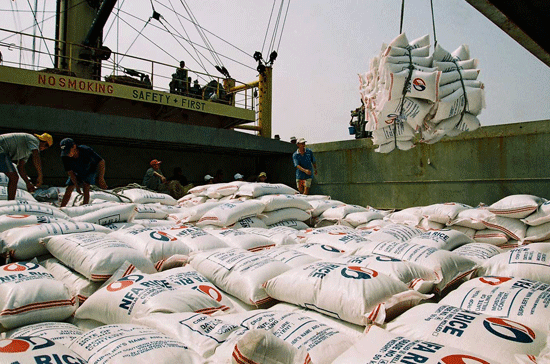 Năm 2011, ước tính Việt Nam sẽ xuất khẩu trên 7 triệu tấn gạo, kim ngạch đạt khoảng 3,7 tỷ USD. 