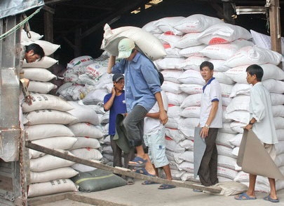 Kho chứa là yêu cầu bắt buộc để doanh nghiệp được cấp giấy chứng nhận đủ điều kiện xuất khẩu gạo.