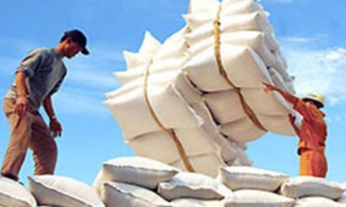 Bộ Công Thương: Giá lúa gạo tăng cao là do tin đồn 