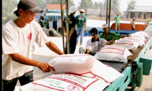 Triển khai thí điểm bảo hiểm tín dụng xuất khẩu 