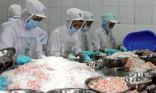 Trái chiều dự báo kim ngạch xuất khẩu thủy sản 2010