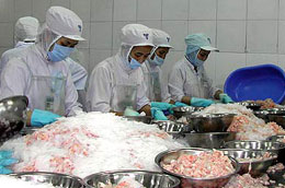 Năm 2009 khối lượng xuất khẩu tôm của Việt Nam đạt gần 210 nghìn tấn, với kim ngạch đạt trên 1,67 tỉ USD.