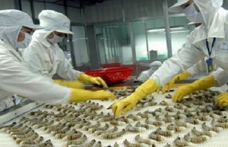 Năm 2012, dù thị trường có nhiều khó khăn nhưng VASEP vẫn tin tưởng, xuất khẩu tôm sẽ đạt 2,5 tỷ USD, cao hơn 100 triệu USD so với năm 2011.