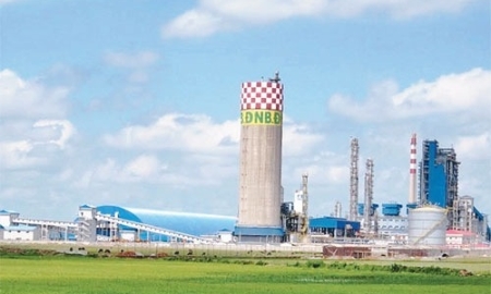 Dự án Đạm Ninh Bình do Vinachem làm chủ đầu tư, có công suất 560.000 tấn một năm, vốn đầu tư khoảng 667 triệu USD tại tỉnh Ninh Bình.