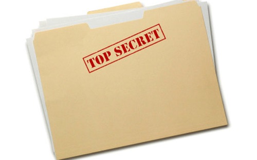 Thẩm tra dự án luật, Ủy ban Pháp luật của Quốc hội cho rằng việc thực hiện quyền tiếp cận thông tin của công dân không được làm ảnh hưởng đến các quyền của cá nhân, cơ quan, tổ chức khác, như quyền về bí mật cá nhân, bí mật kinh doanh, bí mật nhà nước...