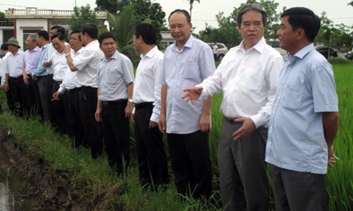 Thống đốc Bình và chuyện “con đường kim cương”