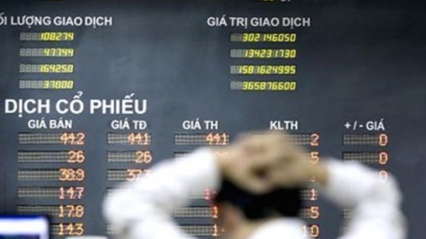 2014, năm thăng trầm chưa từng có của chứng khoán Việt Nam