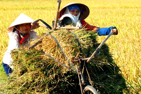 Nông nghiệp Việt Nam đang đứng trước thời điểm thách thức.