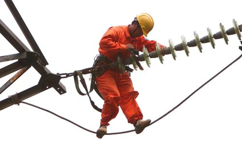 Lũy kế đến 31/12/2014, tổng số dự án được cấp bảo lãnh vay nước ngoài là 110 dự án, trong đó chủ yếu là các dự án thuộc lĩnh vực điện (56 dự án), hàng không (7 chương trình, dự án), xi măng (17 dự án), dầu khí (7 dự án), giấy và bột giấy (5 dự án) và các lĩnh vực khác.