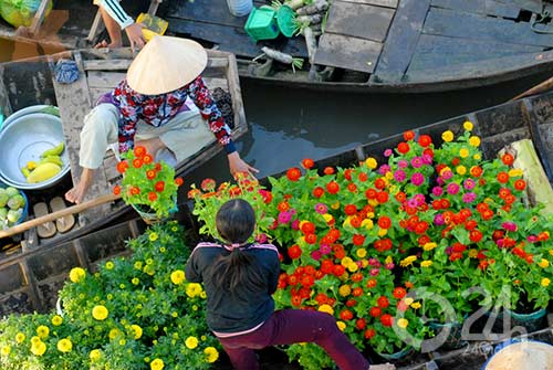 "Đóng góp nhiều nhất vào GDP lại chính là thành phần kinh tế cá thể, với trên dưới 32% từ 2007 - 2013. Cấu trúc này không hề thay đổi trong suốt 7 - 8 năm nay".<br>