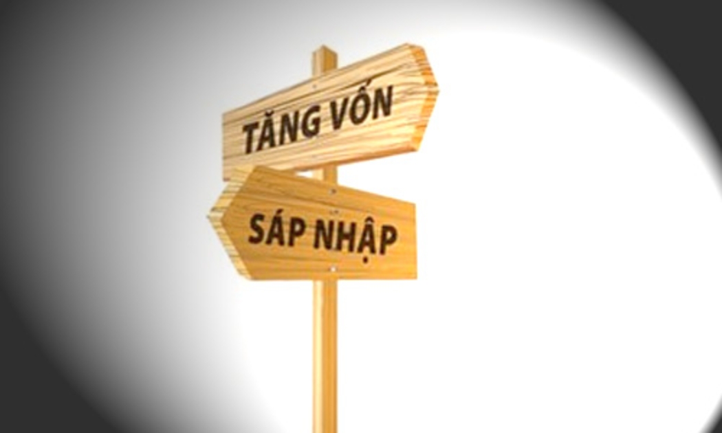 Trước khi tái cơ cấu, hệ thống có 42 ngân hàng thương mại (chỉ tính riêng khối quốc doanh và cổ phần). Trải qua giai đoạn 4 và chuẩn bị bước vào giai đoạn 5, với những thương vụ sáp nhập đã định hình, con số gọn lại dự kiến chỉ còn 34 vào cuối năm nay.